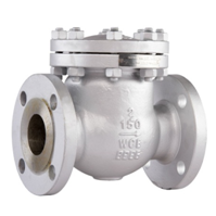 check Valves